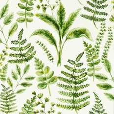 Bracken Forest Wallcovering by Clarke & Clarke 