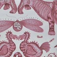Exinct Magenta Wallcovering by Emma J Shipley for Clarke & Clarke 