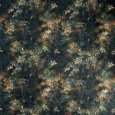 Congo Antique Fabric by Clarke & Clarke 
