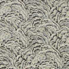 Lumino Noir/Gilver Wallcovering by Clarke & Clarke