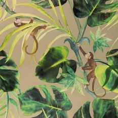 Monkey Business Gilver Wallcovering by Clarke & Clarke