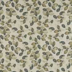 Northia Olive/Peacock Fabric by Clarke & Clarke 