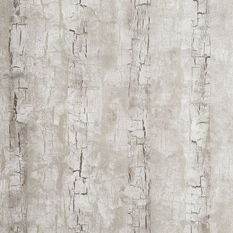 Tree Bark Birch Wallcovering by Clarke & Clarke 
