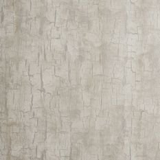 Tree Bark Parchment Wallcovering by Clarke & Clarke 