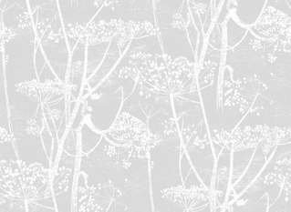 Cow Parsley 100% Linen Fabric by Cole & Son 