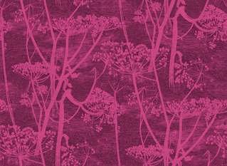 Cow Parsley Velvet Fabric by Cole & Son 
