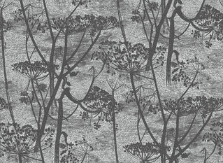 Cow Parsley Wallcovering by Cole & Son 