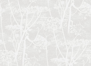 Cow Parsley Wallcovering by Cole & Son 