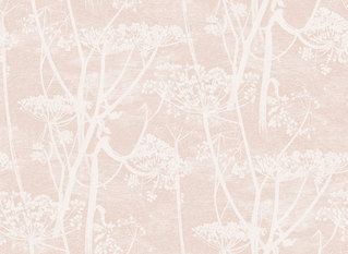 Cow Parsley Wallcovering by Cole & Son 