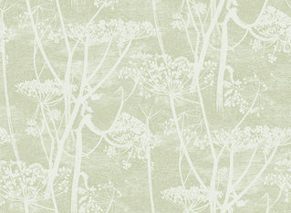 Cow Parsley Wallcovering by Cole & Son 