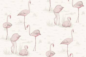 Flamingos Wallcovering by Cole & Son