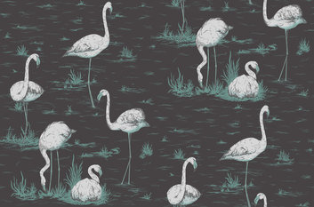 Flamingos Wallcovering by Cole & Son