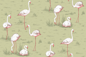 Flamingos Wallcovering by Cole & Son 