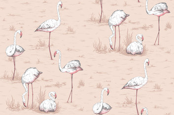 Flamingos Wallcovering by Cole & Son 