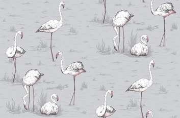 Flamingos Wallcovering by Cole & Son 