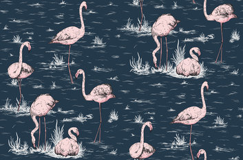 Flamingos Wallcovering by Cole & Son 