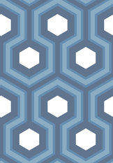 Hicks' Grand Wallcovering by Cole & Son