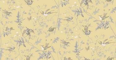 Hummingbirds Silk Fabric by Cole & Son 