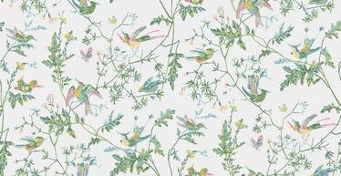 Hummingbirds Wallcovering by Cole & Son 