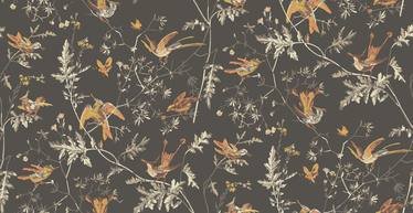 Hummingbirds Wallcovering by Cole & Son 