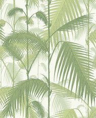 Palm Jungle Wallcovering by Cole & Son