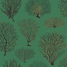 Seafern Wallcovering by Cole & Son