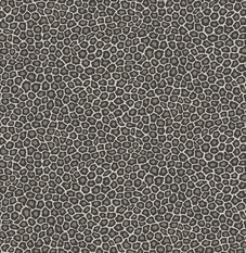 Senzo Spot Black and White Wallcovering by Cole & Son 