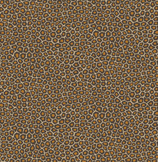 Senzo Spot Gold Wallcovering by Cole & Son 