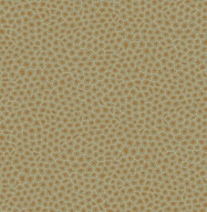 Senzo Spot Olive Wallcovering by Cole & Son 