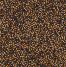 Senzo Spot Tan Wallcovering by Cole & Son 