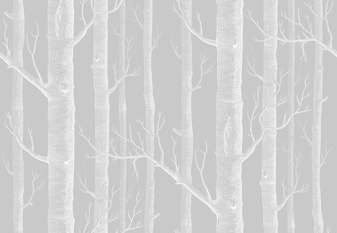 Woods Linen Union Fabric by Cole & Son 