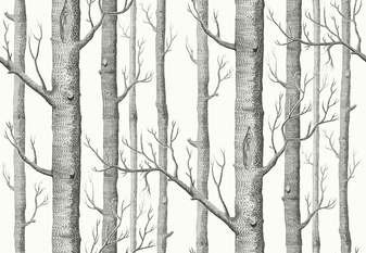 Woods Linen Union Fabric by Cole & Son 