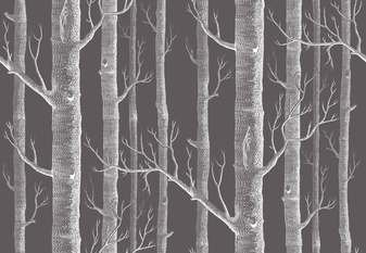 Woods Linen Union Fabric by Cole & Son 