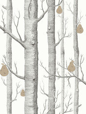 Woods & Pears Wallcovering by Cole & Son