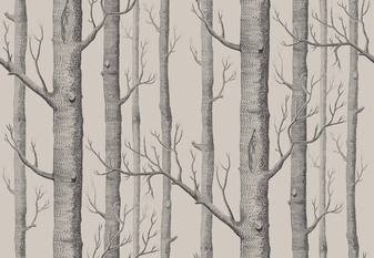 Woods Wallcovering by Cole & Son 