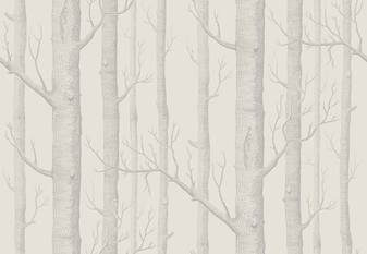 Woods Wallcovering by Cole & Son 