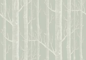 Woods Wallcovering by Cole & Son 