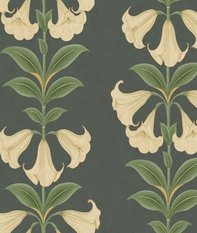 Angel's Trumpet Wallcovering by Cole & Son 