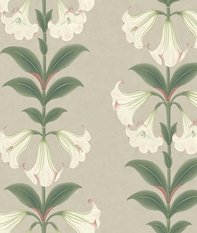 Angel's Trumpet Wallcovering by Cole & Son 