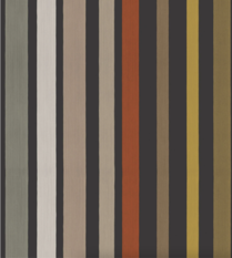 Carousel Stripe Mariinsky Black & Multi Wallcovering by Cole & Son 