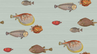 Acquario Wallcovering by Cole & Son 