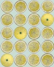 Arance Wallcovering by Cole & Son 