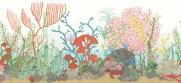 Archipelago Border Wallcovering by Cole & Son 