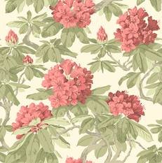 Bourlie Wallcovering by Cole & Son 