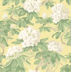 Bourlie Wallcovering by Cole & Son 