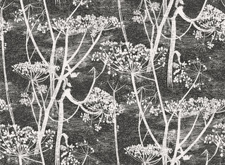 Cow Parsley Wallcovering by Cole & Son 