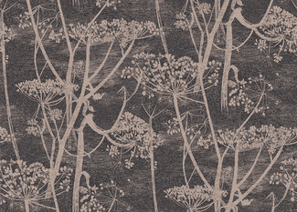 Cow Parsley Wallcovering by Cole & Son 