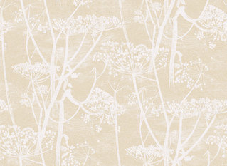 Cow Parsley Wallcovering by Cole & Son 