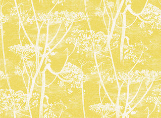Cow Parsley Wallcovering by Cole & Son 