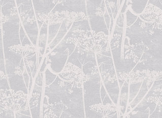 Cow Parsley Wallcovering by Cole & Son 